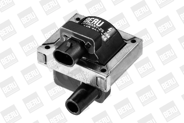 BorgWarner (BERU) ZS284 Ignition Coil