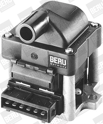 BorgWarner (BERU) ZSE002 Ignition Coil
