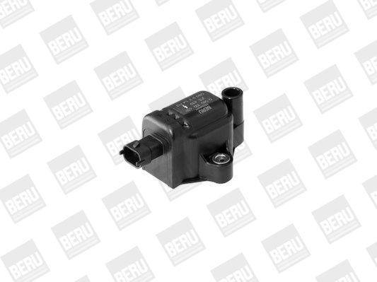 BorgWarner (BERU) ZS439 Ignition Coil