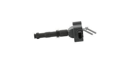 BorgWarner (BERU) ZS177 Ignition Coil