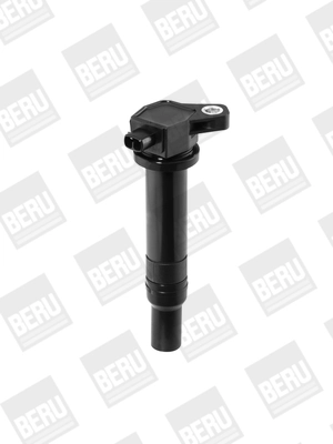 Ignition Coil ZS481