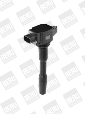 BorgWarner (BERU) ZSE131 Ignition Coil