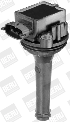 BorgWarner (BERU) ZSE019 Ignition Coil