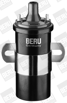 BorgWarner (BERU) ZS120 Ignition Coil