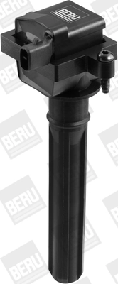 BorgWarner (BERU) ZS431 Ignition Coil