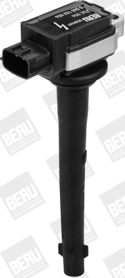 Ignition Coil ZSE056