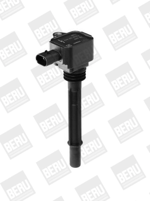 BorgWarner (BERU) ZS090 Ignition Coil