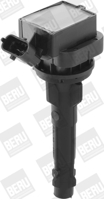 BorgWarner (BERU) ZS449 Ignition Coil