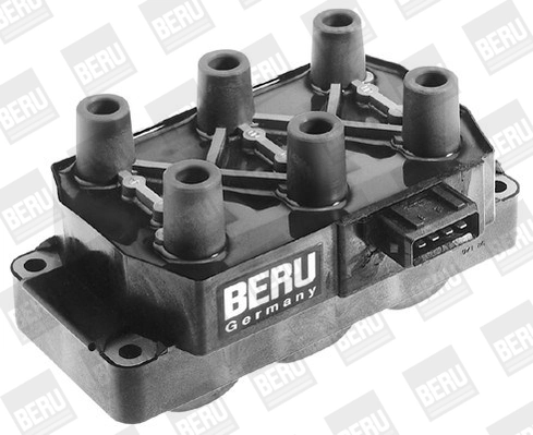 BorgWarner (BERU) ZS301 Ignition Coil