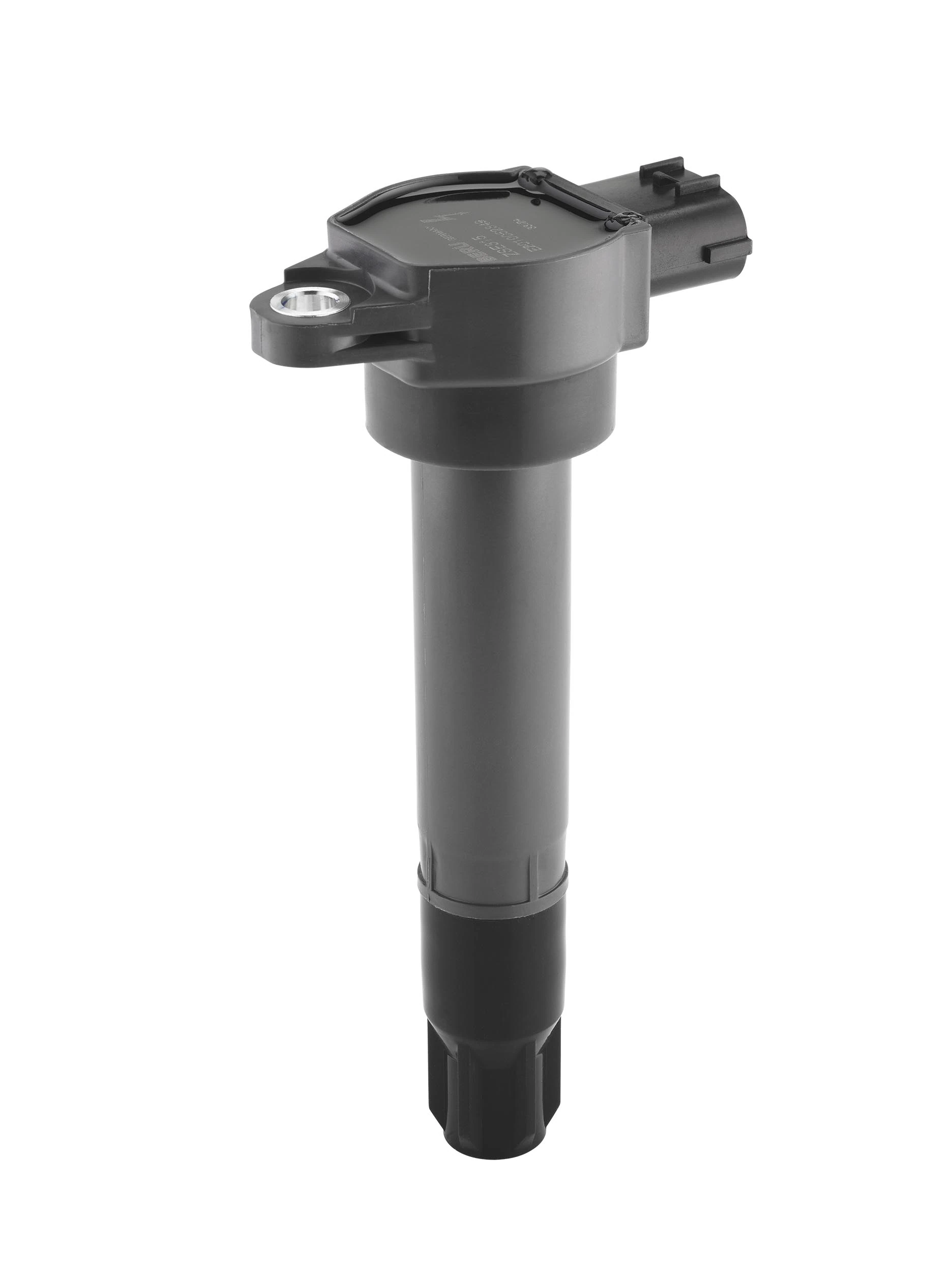 BorgWarner (BERU) ZSE315 Ignition Coil