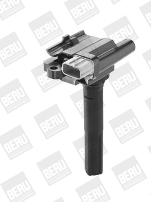 BorgWarner (BERU) ZSE069 Ignition Coil