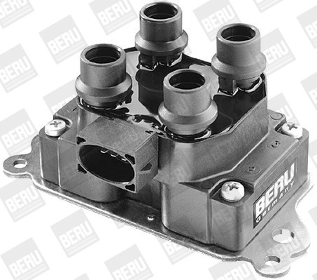 BorgWarner (BERU) ZS237 Ignition Coil