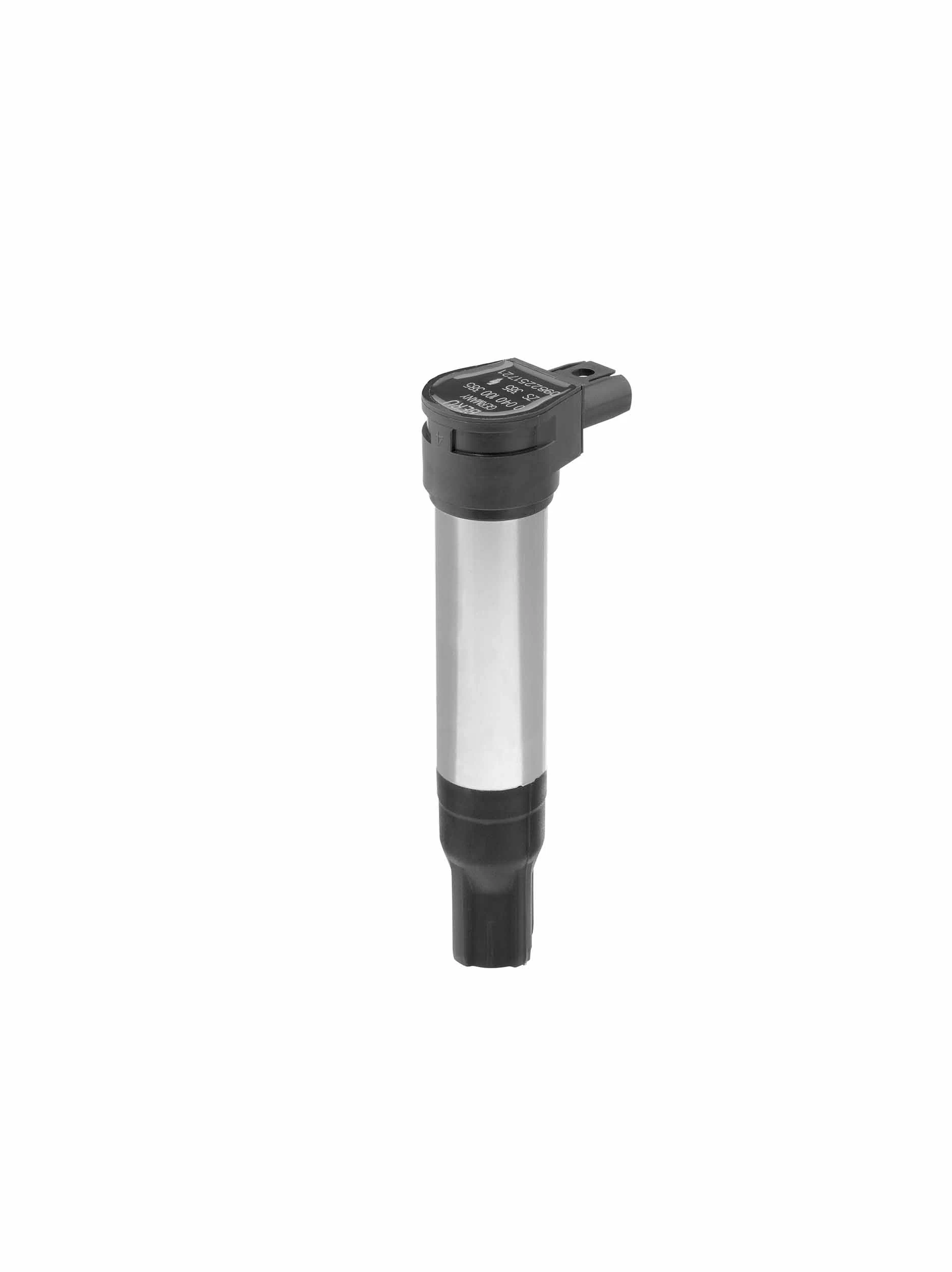BorgWarner (BERU) ZS385 Ignition Coil
