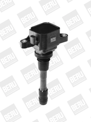 BorgWarner (BERU) ZSE066 Ignition Coil
