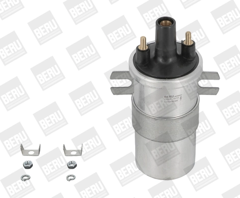 BorgWarner (BERU) ZS564 Ignition Coil