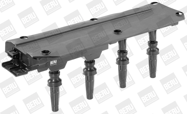 BorgWarner (BERU) ZS349 Ignition Coil