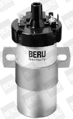 BorgWarner (BERU) ZS124 Ignition Coil
