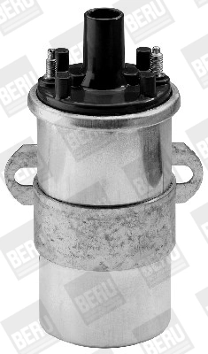 BorgWarner (BERU) ZS117 Ignition Coil