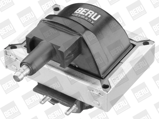 BorgWarner (BERU) ZS251 Ignition Coil