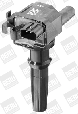 BorgWarner (BERU) ZS262 Ignition Coil