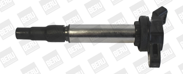 BorgWarner (BERU) ZSE184 Ignition Coil