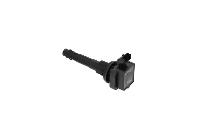 BorgWarner (BERU) ZS449 Ignition Coil