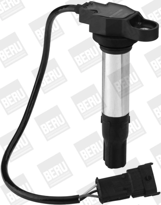 BorgWarner (BERU) ZS441 Ignition Coil