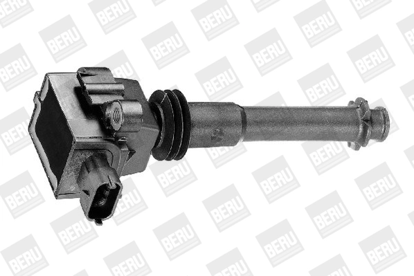 Ignition Coil ZS311