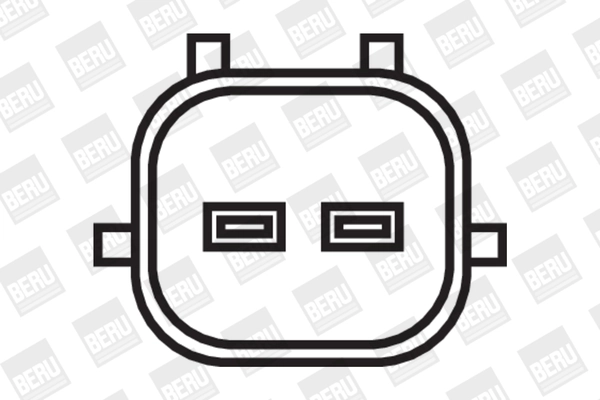 BorgWarner (BERU) ZS376 Ignition Coil