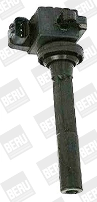 BorgWarner (BERU) ZSE160 Ignition Coil