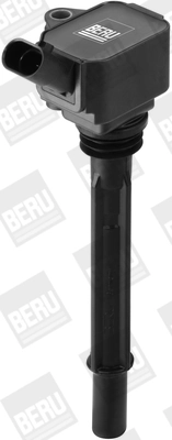 Ignition Coil ZS096