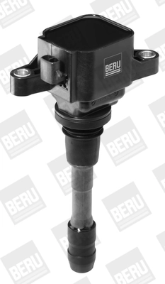 BorgWarner (BERU) ZSE066 Ignition Coil