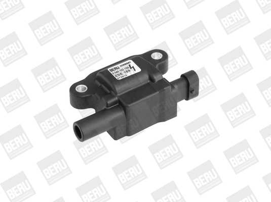 BorgWarner (BERU) ZSE159 Ignition Coil
