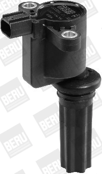 BorgWarner (BERU) ZS366 Ignition Coil