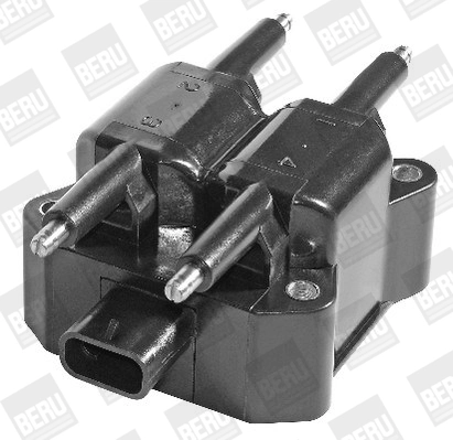 BorgWarner (BERU) ZS379 Ignition Coil