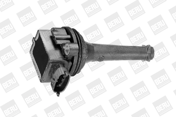 BorgWarner (BERU) ZSE019 Ignition Coil