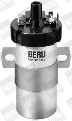 BorgWarner (BERU) ZS124 Ignition Coil