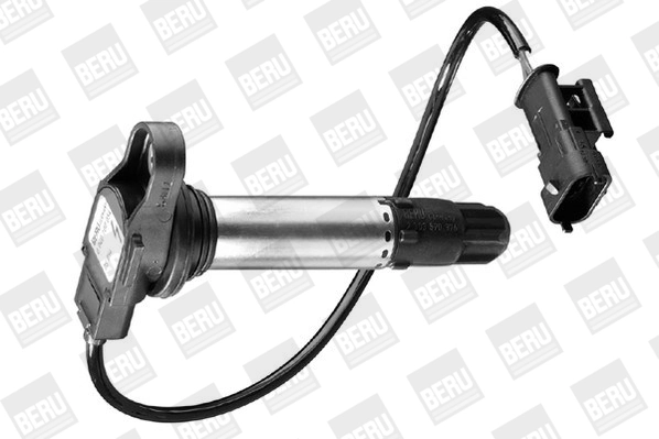 BorgWarner (BERU) ZS054 Ignition Coil