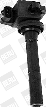 BorgWarner (BERU) ZSE160 Ignition Coil