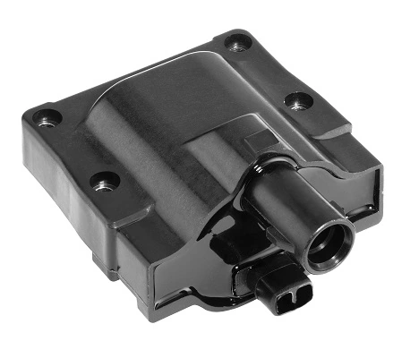 BorgWarner (BERU) ZS445 Ignition Coil
