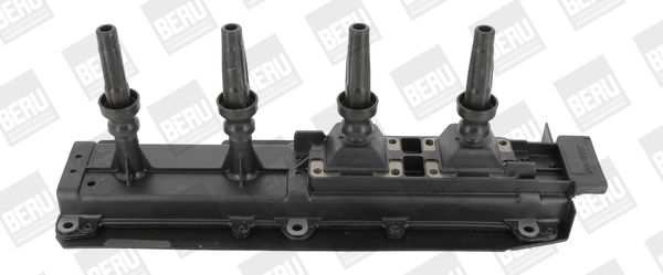 BorgWarner (BERU) ZS349 Ignition Coil