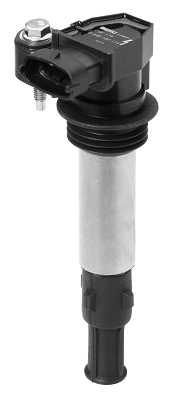 BorgWarner (BERU) ZSE174 Ignition Coil