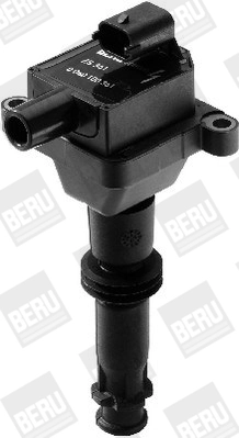 BorgWarner (BERU) ZS361 Ignition Coil