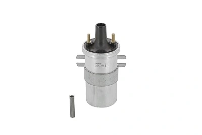 BorgWarner (BERU) ZS546 Ignition Coil