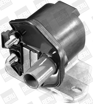 BorgWarner (BERU) ZS296 Ignition Coil