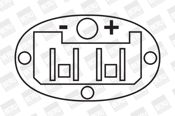 BorgWarner (BERU) ZS257 Ignition Coil