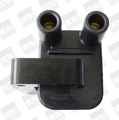 BorgWarner (BERU) ZS544 Ignition Coil