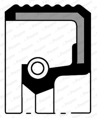 Shaft Seal, manual transmission NA5449