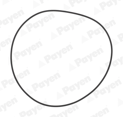 Gasket, cylinder liner PA708