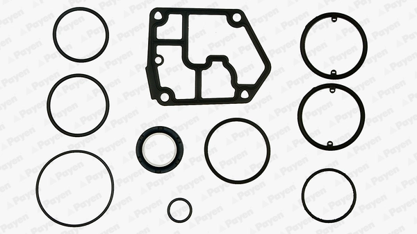 Gasket Kit, crankcase EF5380